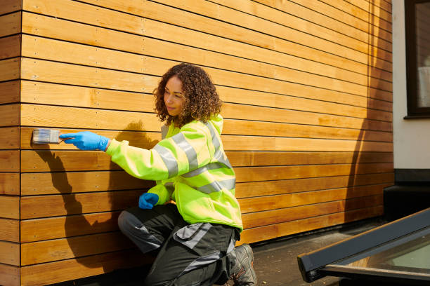 Best Brick Veneer Siding  in Tomahawk, WI